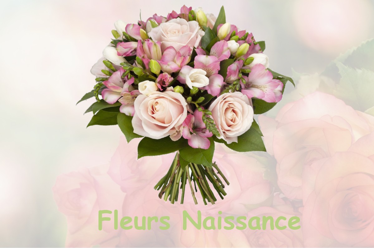 fleurs naissance MERLES-SUR-LOISON