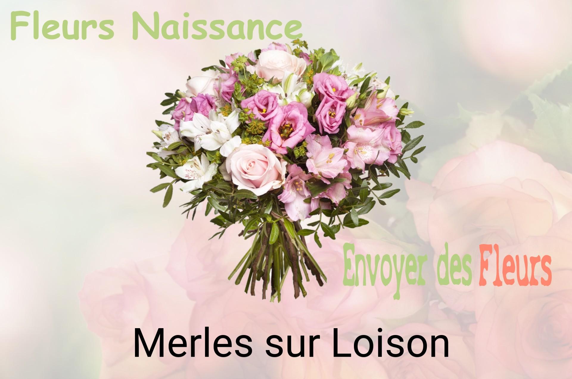 Bouquet de fleurs de naissance livré à Merles-sur-Loison