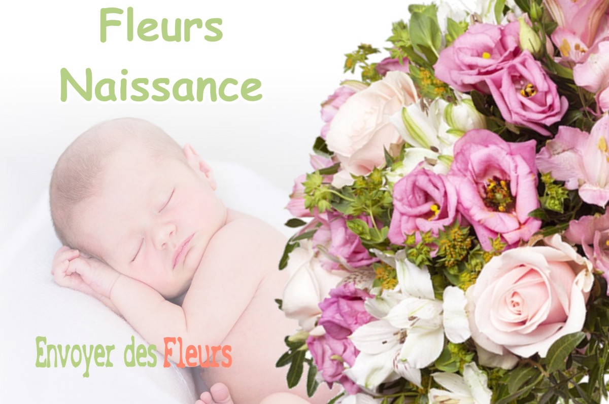 lIVRAISON FLEURS NAISSANCE à MERLES-SUR-LOISON